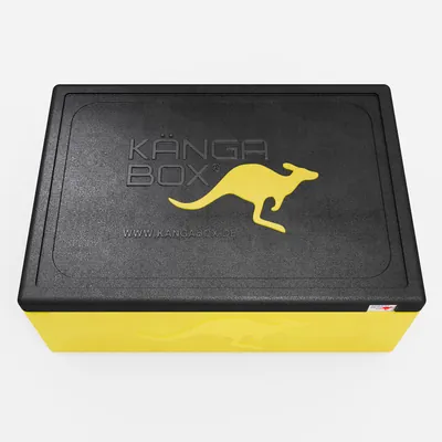 Thumbnail Kängabox Expert GN 1/1 lemon 53l pic-5