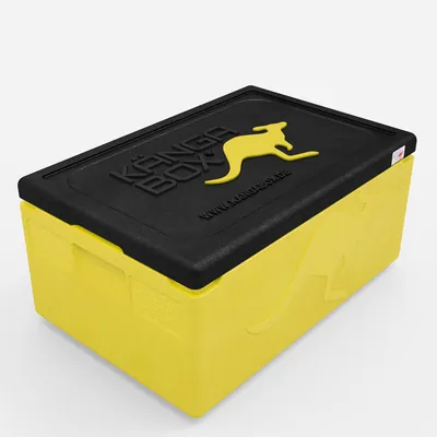 Thumbnail Kängabox Expert GN 1/1 lemon 80l pic-1