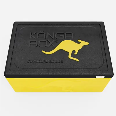 Thumbnail Kängabox Expert GN 1/1 lemon 80l pic-5