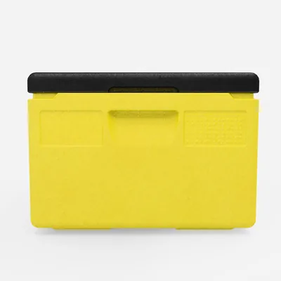 Thumbnail Kängabox Expert GN 1/1 lemon 80l pic-4