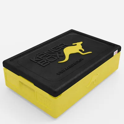 Thumbnail Kängabox Expert GN 1/1 lemon 21l pic-1