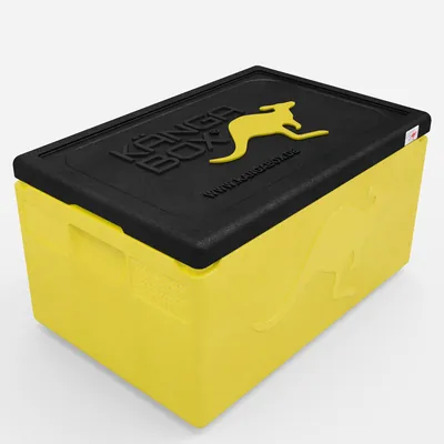 Thumbnail Kängabox Expert GN 1/1 lemon 46l pic-1