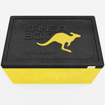 Thumbnail Kängabox Expert GN 1/1 lemon 46l pic-5