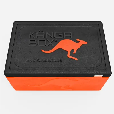 Thumbnail Kängabox Expert GN 1/1 orange 39l pic-5
