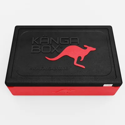 Thumbnail Kängabox Expert GN 1/1 rot 21l pic-5