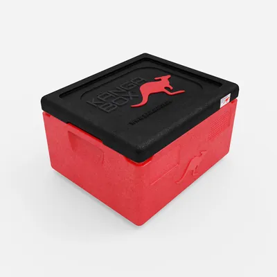 Thumbnail Kängabox Expert GN 1/1 rot 15l pic-1