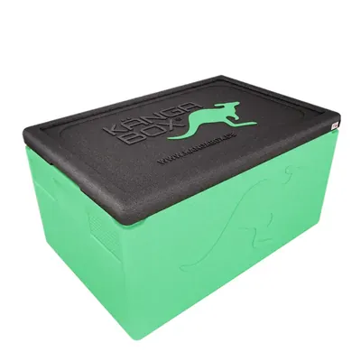 Thumbnail Kängabox Professional GN 1/1 lime 48l pic-1
