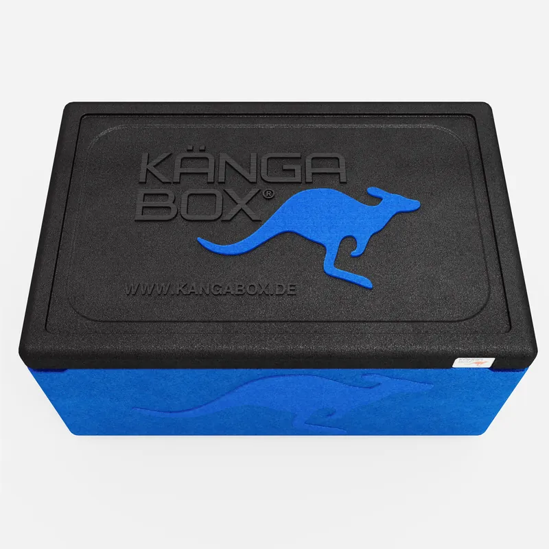 Kängabox Expert GN 1/1 blau 80l pic-5