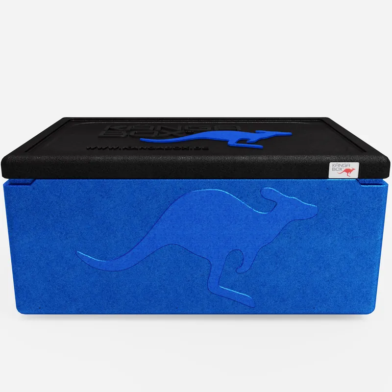 Kängabox Expert GN 1/1 blau 80l pic-3