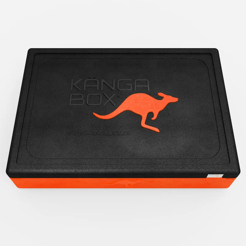 Kängabox Expert GN 1/1 orange 21l pic-5