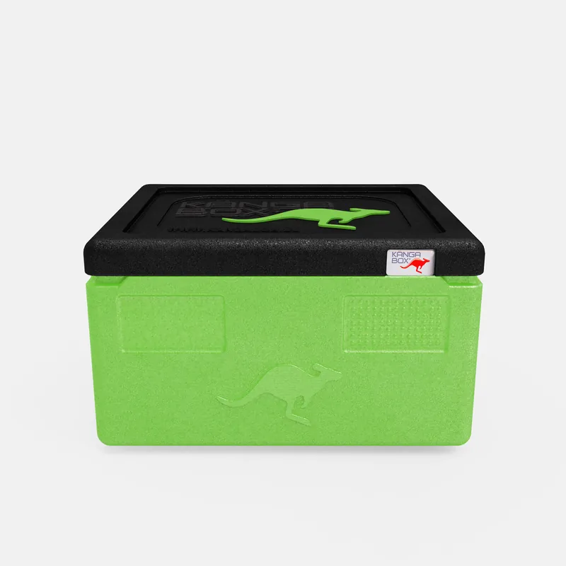 Kängabox Expert GN 1/1 lime 15l pic-1