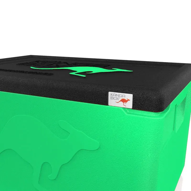 Kängabox Professional GN 1/1 lime 48l pic-2