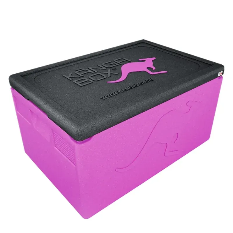 Kängabox Professional GN 1/1 magenta 48l pic-1