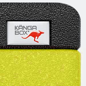 Branding Box / Logo
